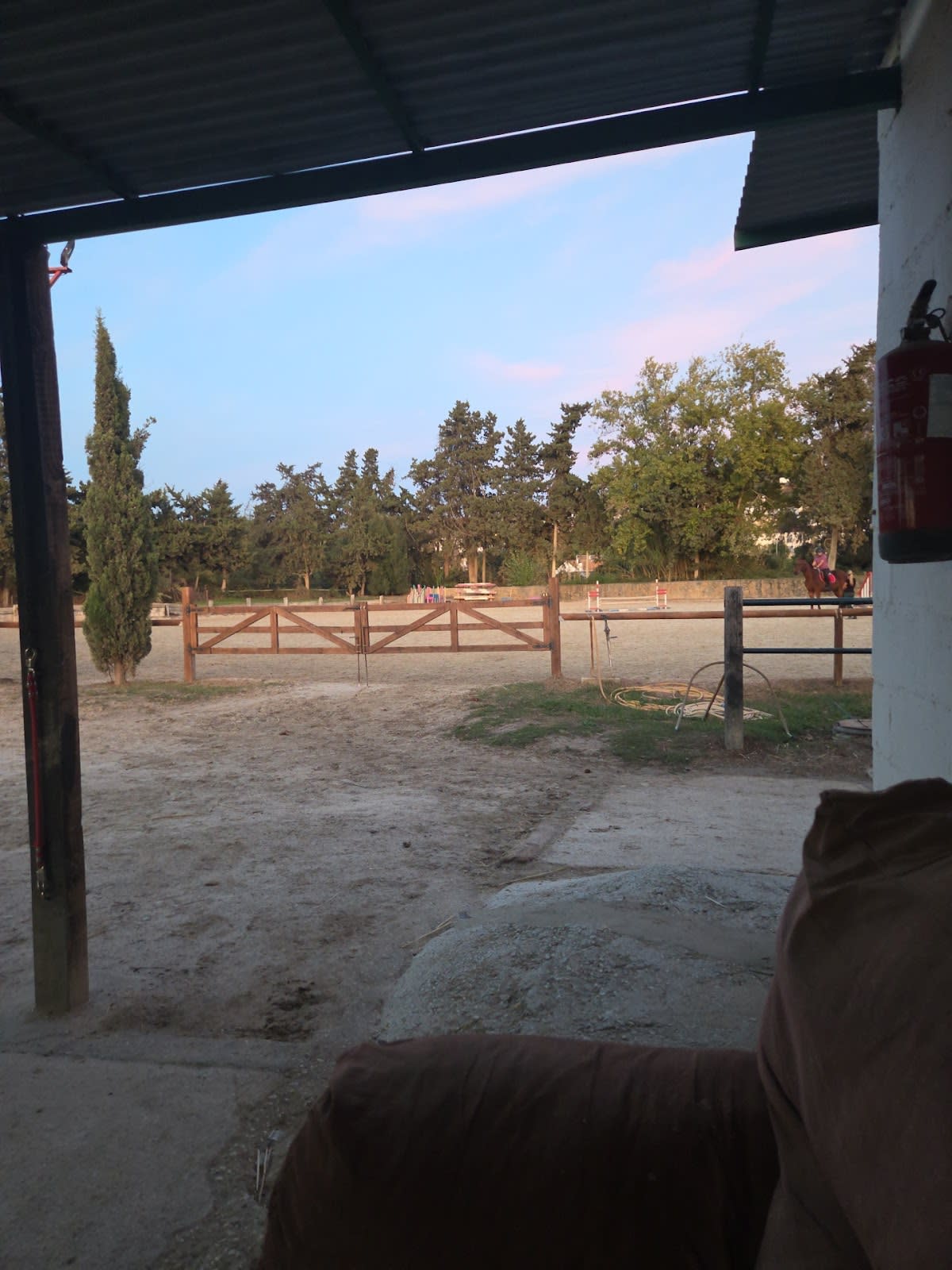 Hípica Son Gregal - Hipica in San Roque