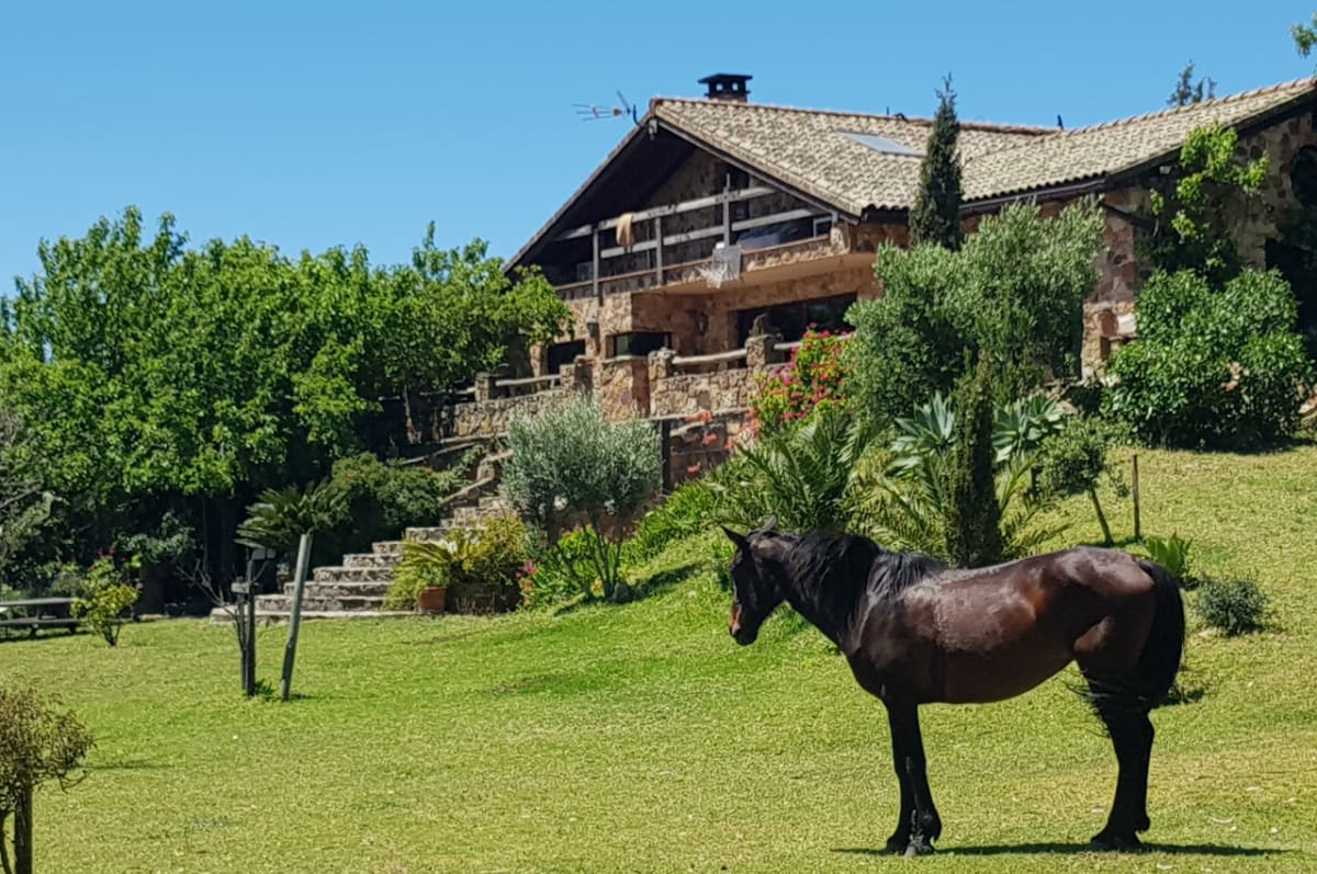Apartment Horses and Nature - Hipica em Betijuelo 10