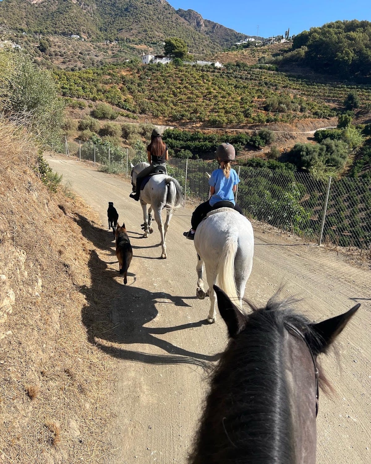 Centro ecuestre Piedras Blancas - Hipica in Frigiliana