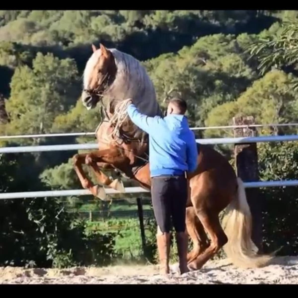 Cuadra Manuel Morillo - Hipica in Vejer de la Frontera