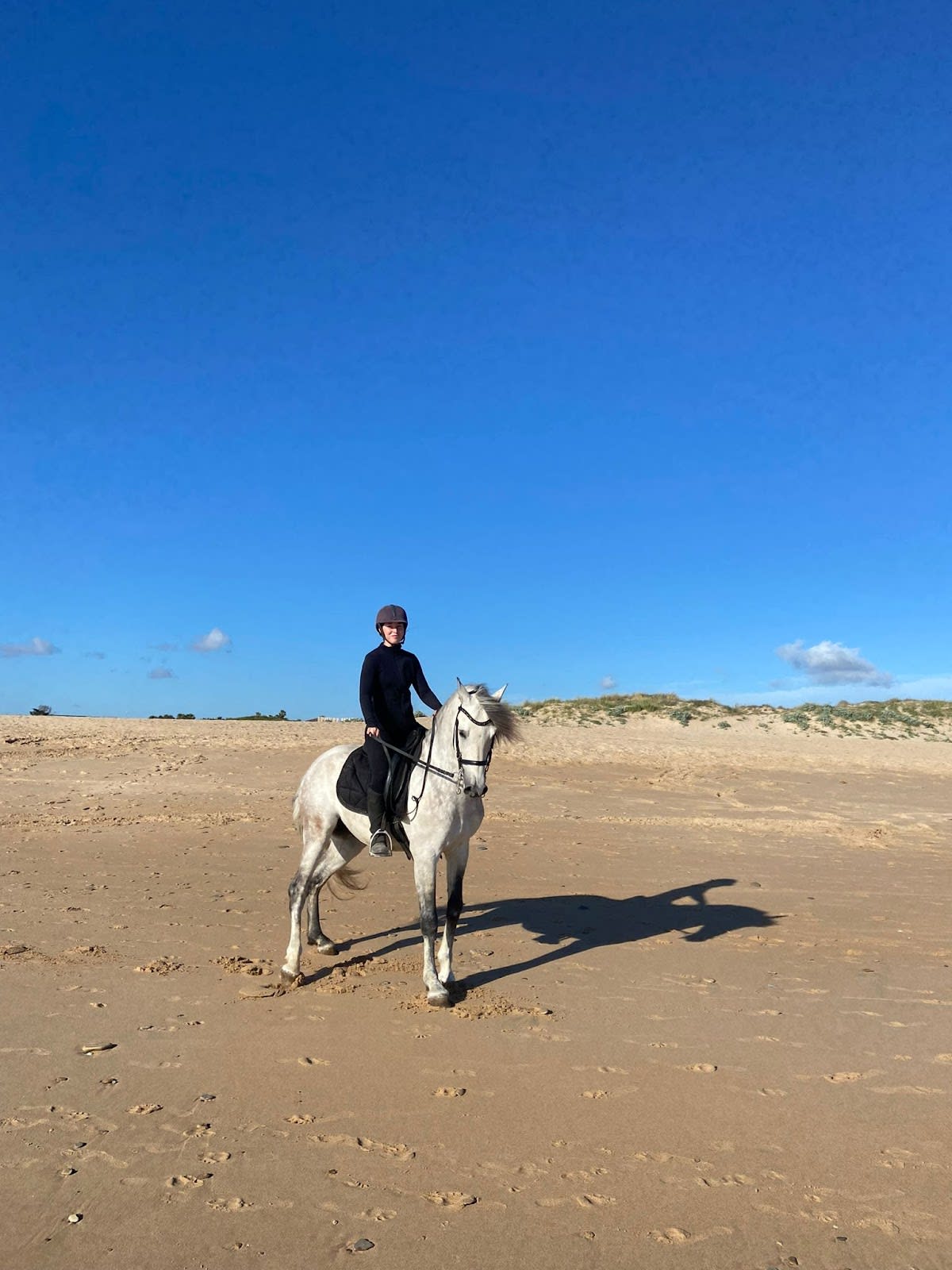 Hipica El palmar, Conil y Vejer de la Frontera - Hipica in El Palmar de Vejer