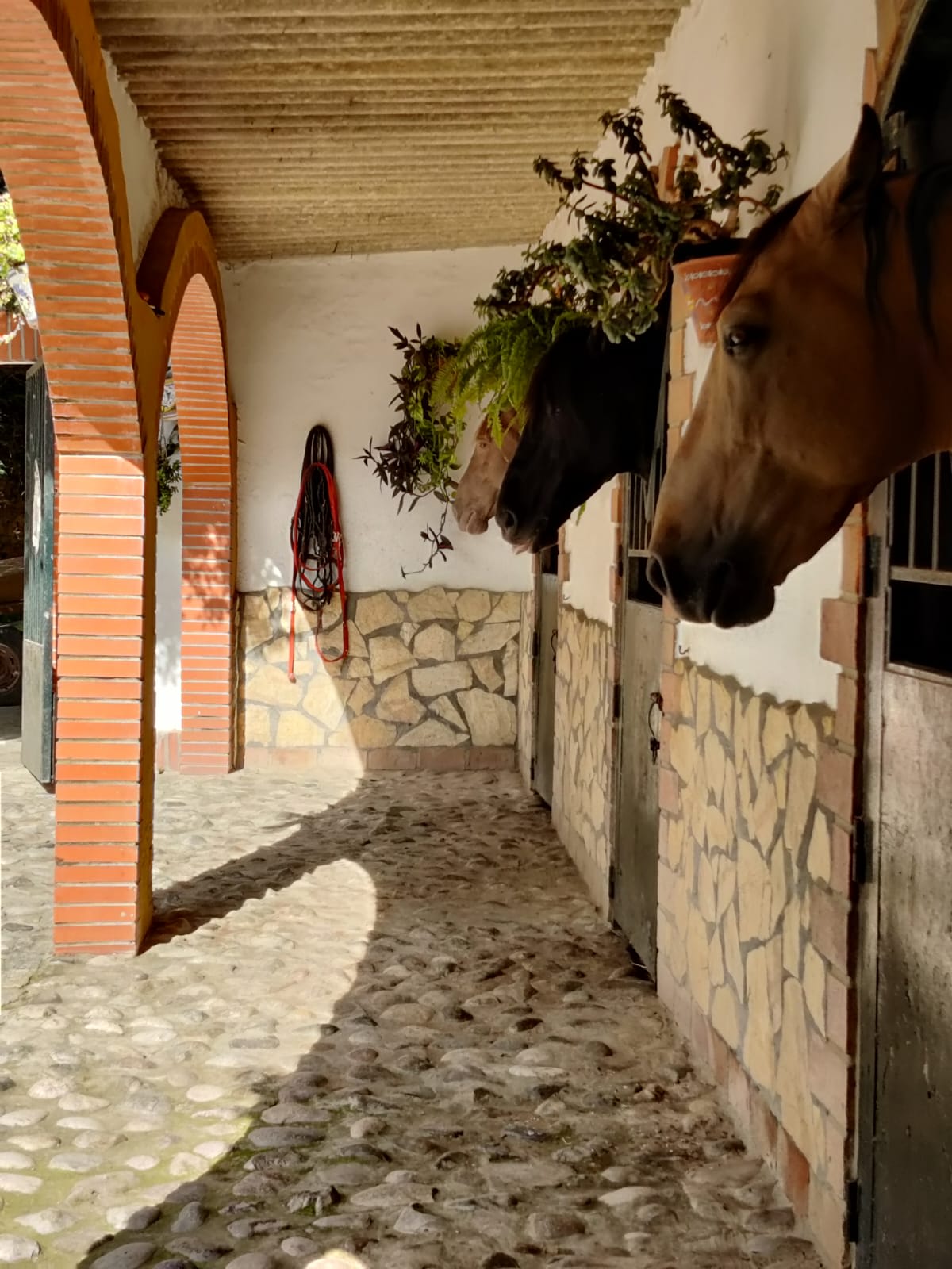 Picadero Fuente del Gallo - Hipica in Conil de la Frontera