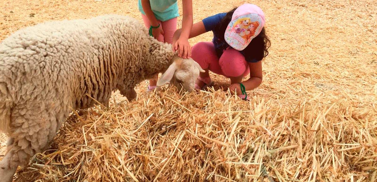 Granja Escuela Las Palmeras - Hipica in Málaga