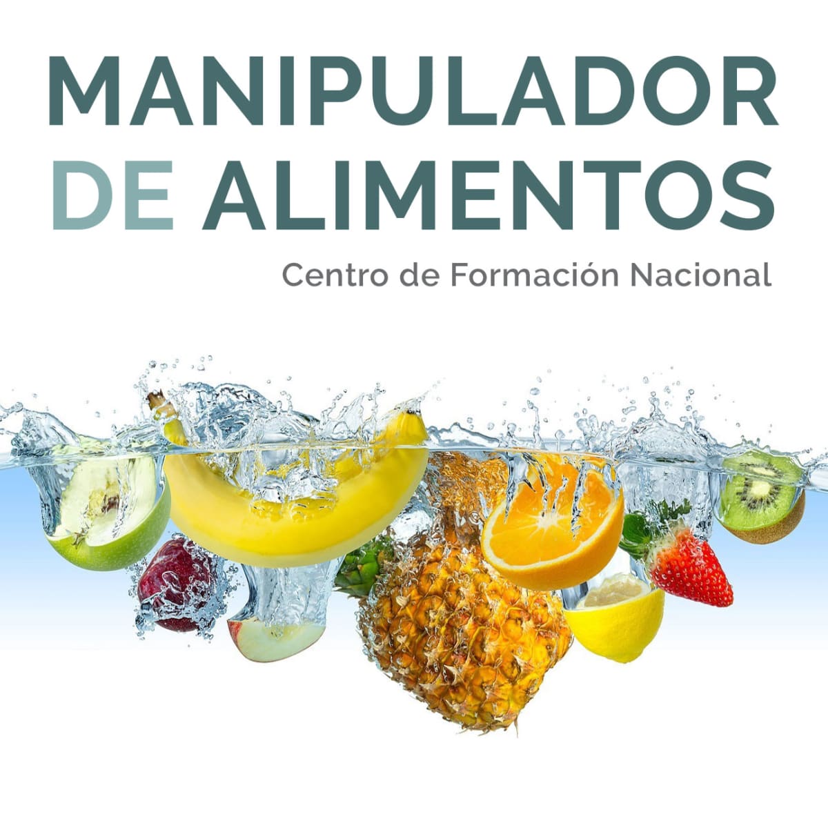 Manipulador de Alimentos - Centro de Formación Nacional - Hipica a Málaga
