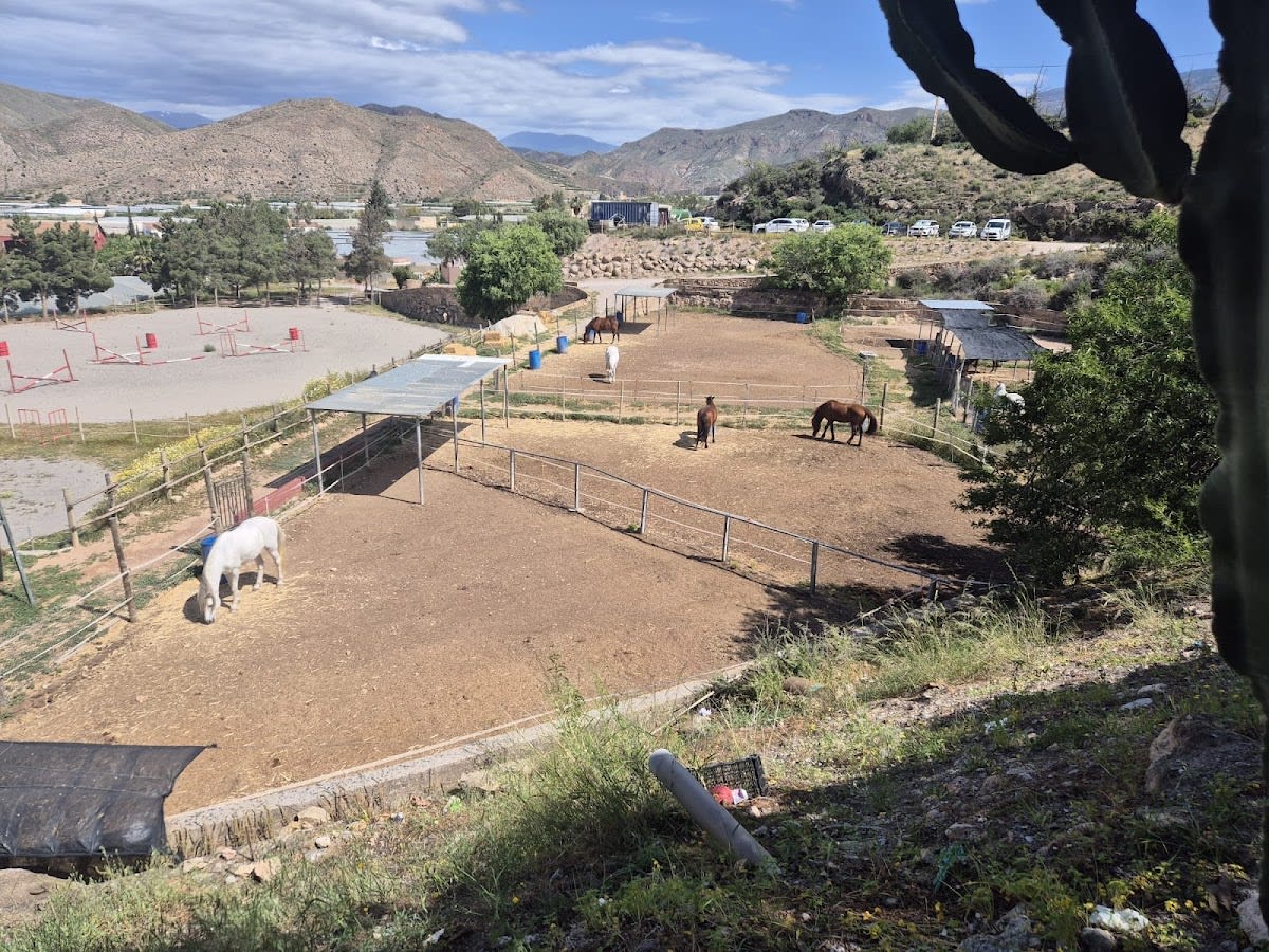 Cortijo Colorao Granja escuela - Hipica in Berja