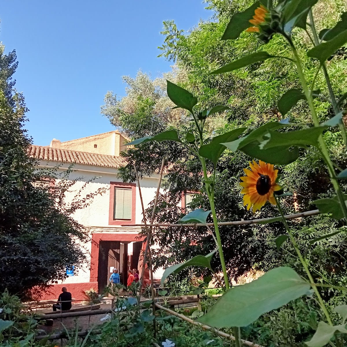 Farm School "El Molino de Lecrín". - Hipica in Dúrcal