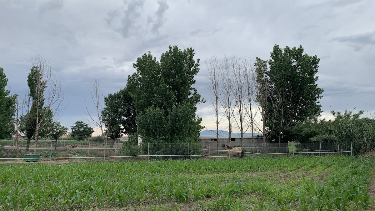 Club Deportivo Ecuestre Nazarí - Hipica in Granada