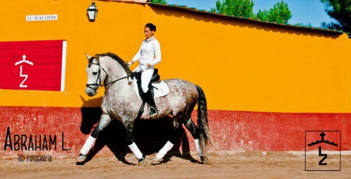 Club Hipico Lendinez Zamora (Anabel Dressage Jaén) - Hipica in Las Infantas
