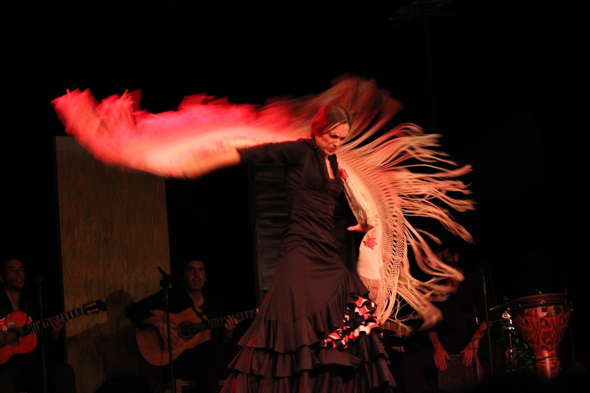 Escuela de Flamenco Online - Hipica in Granada