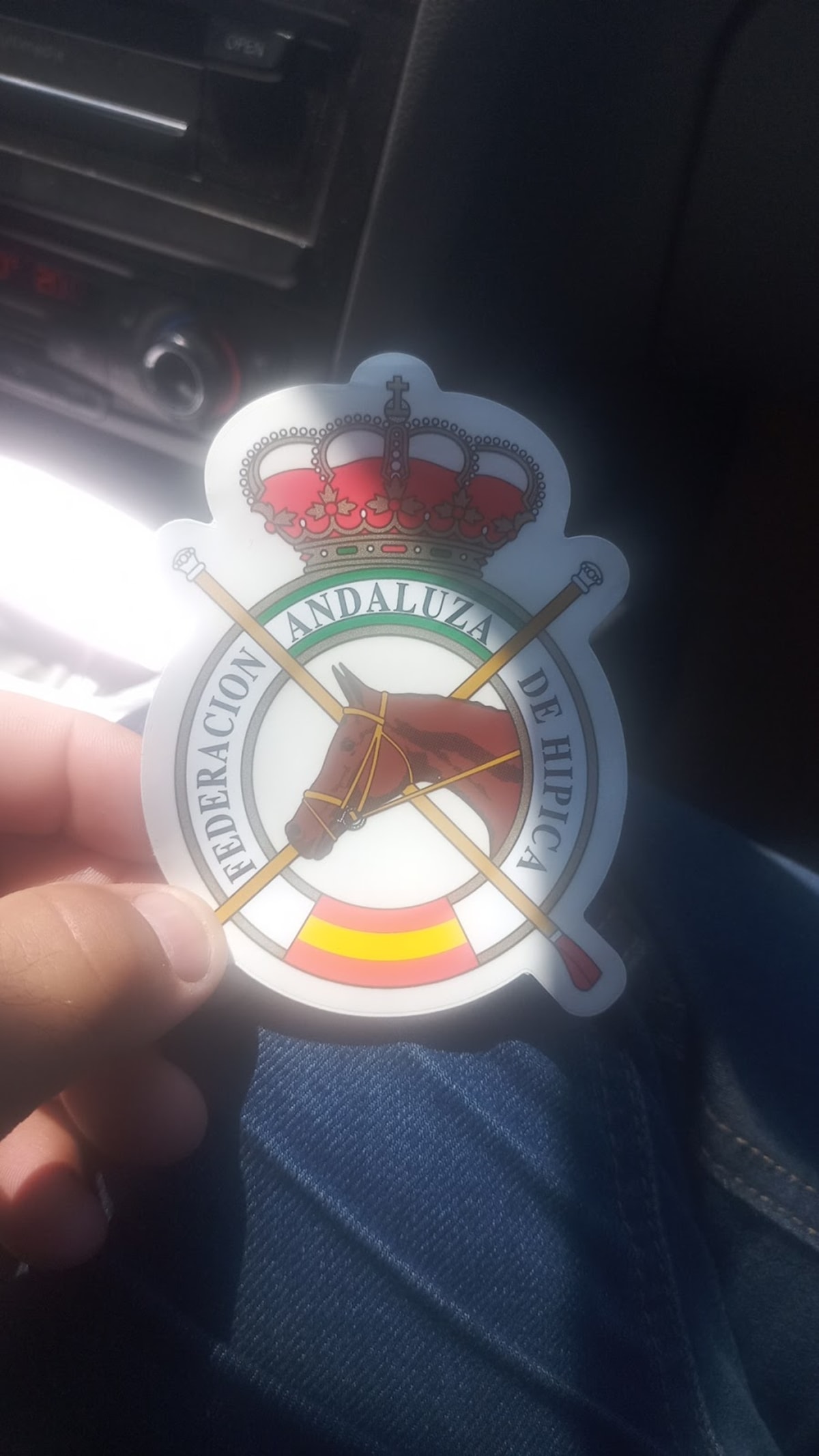 Federación Andaluza de Hípica - Hipica en Sevilla