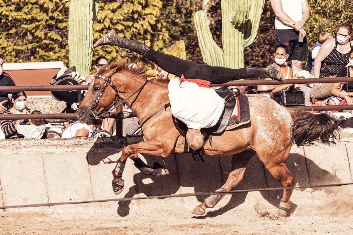 Madrid & Co. Equestrian Productions - Hipica in El Madroñal