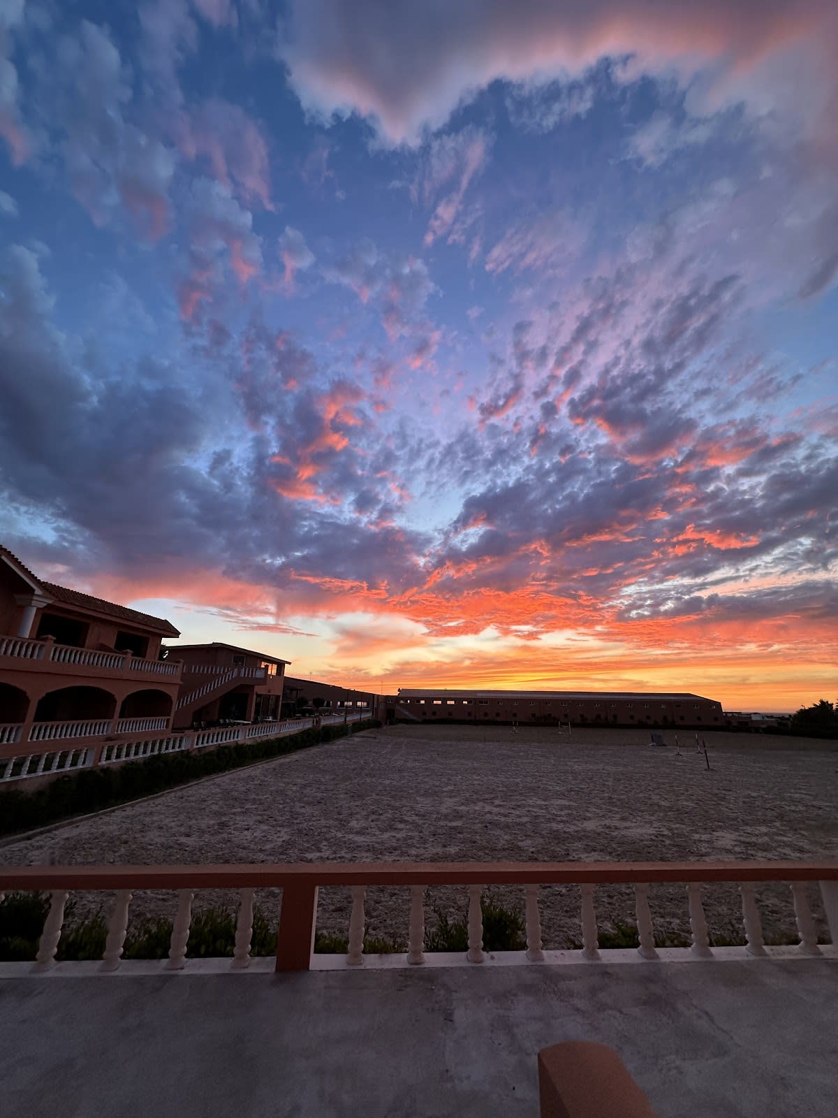 Club équestre du Detroit - Hipica in Tanger