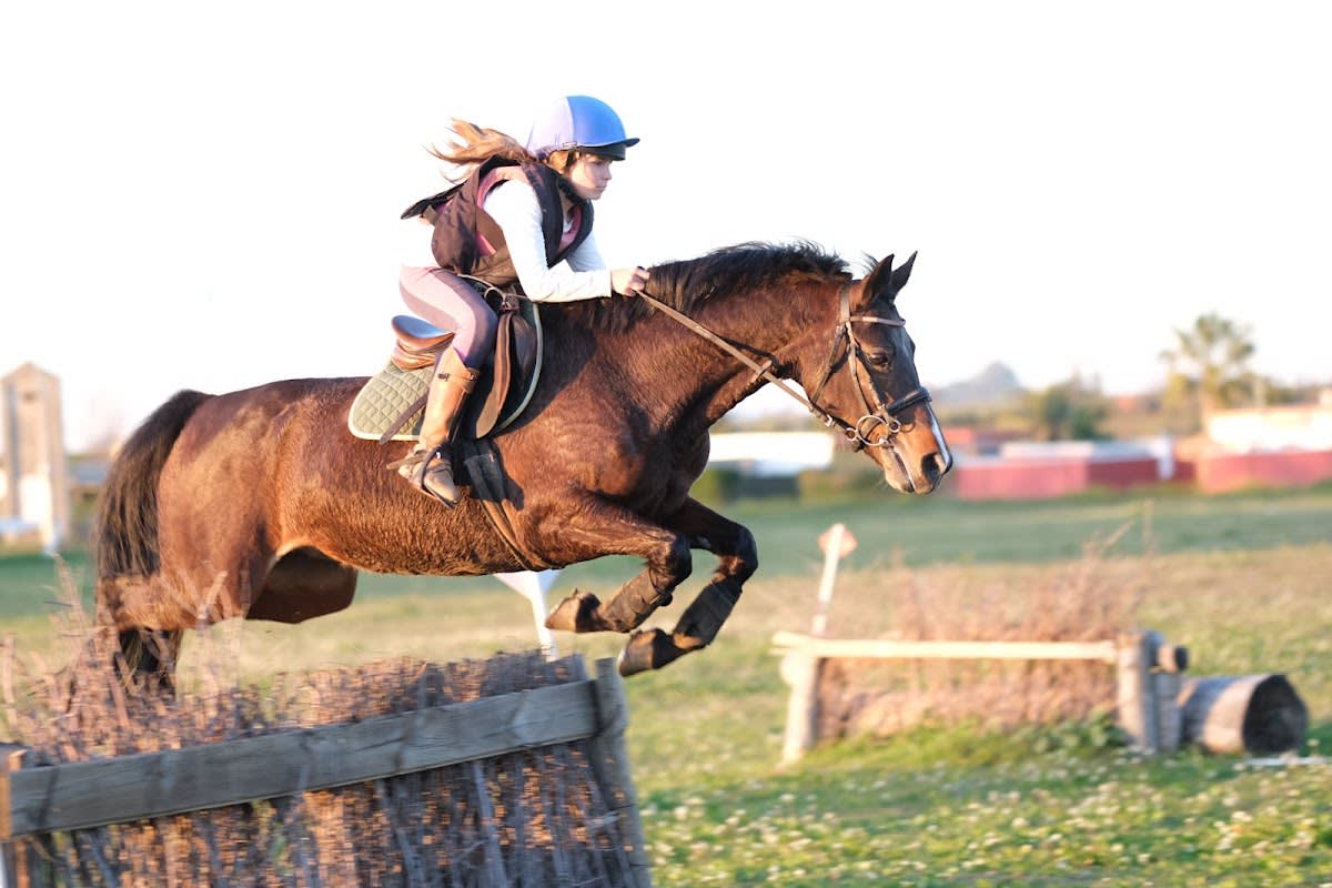 Hípica Rancho Alegre - Hipica in Utrera