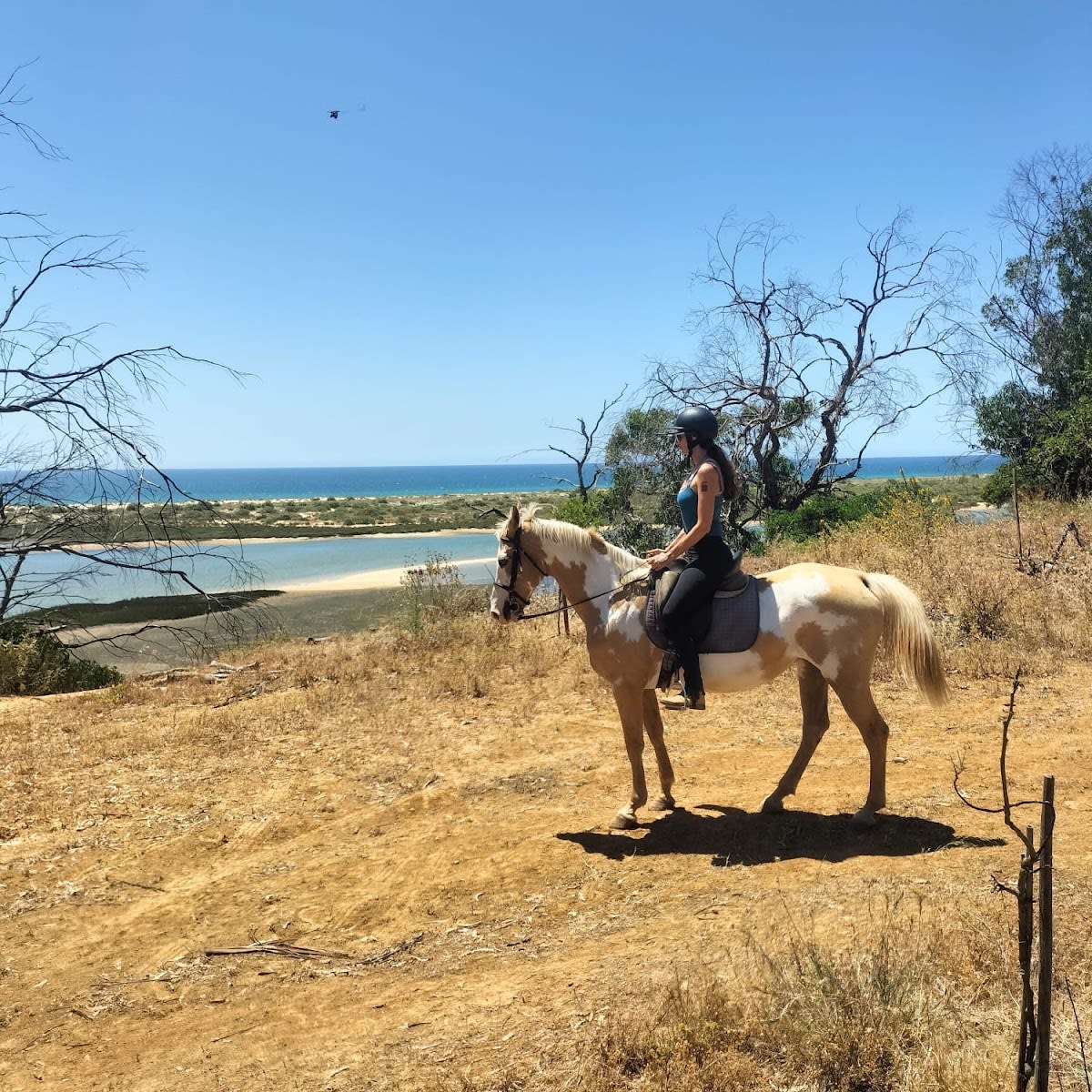Tavira Equestrian Tourism - Hipica in Cabanas