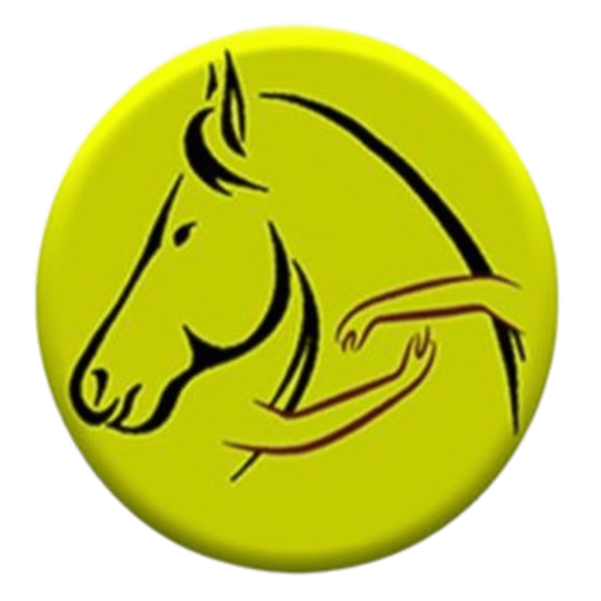 Asociación Ihaconuba - Hipica in Aljaraque