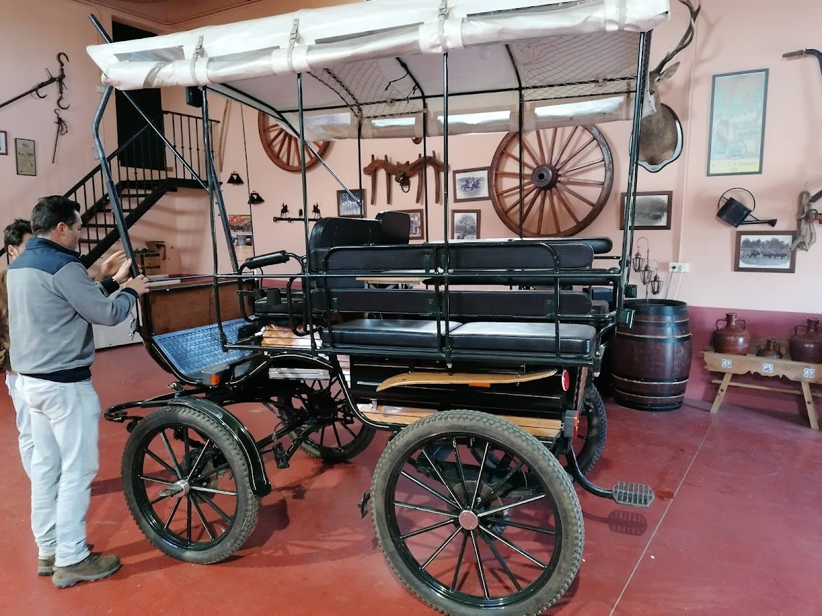 Las Arenillas - Hipica in Palos de la Frontera