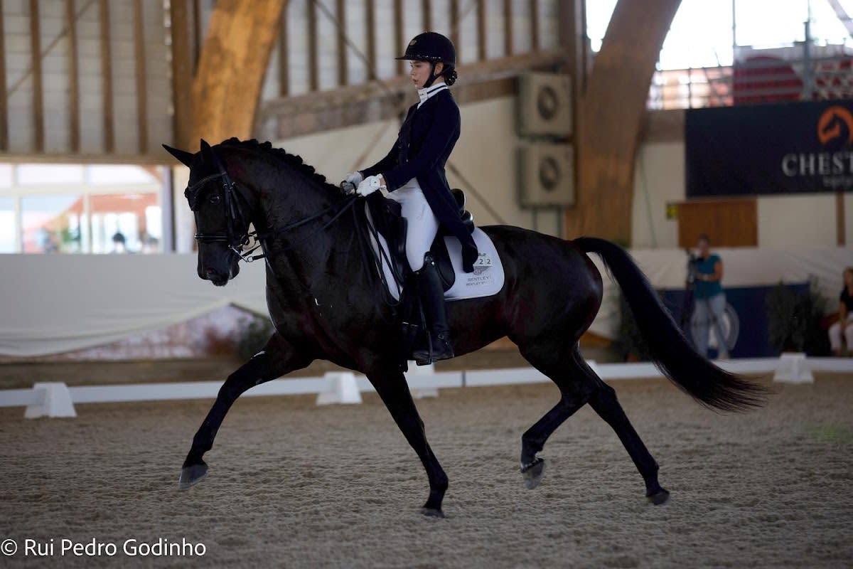 WEquadar Stable - Hipica in Loulé