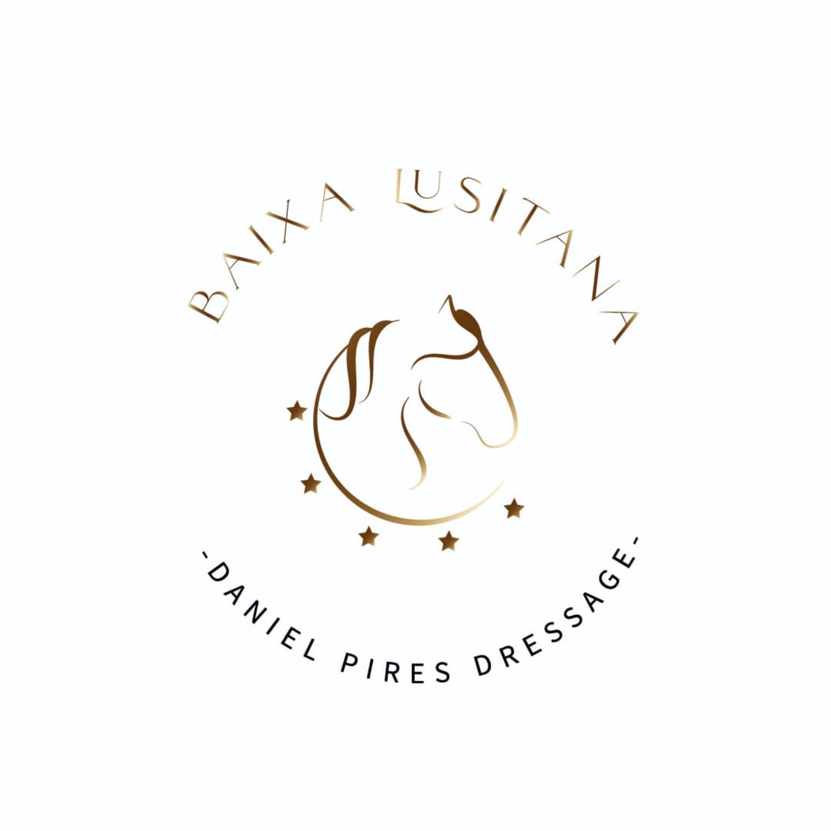 Centro Equestre Baixa Lusitana - Hipica in São Brás de Alportel