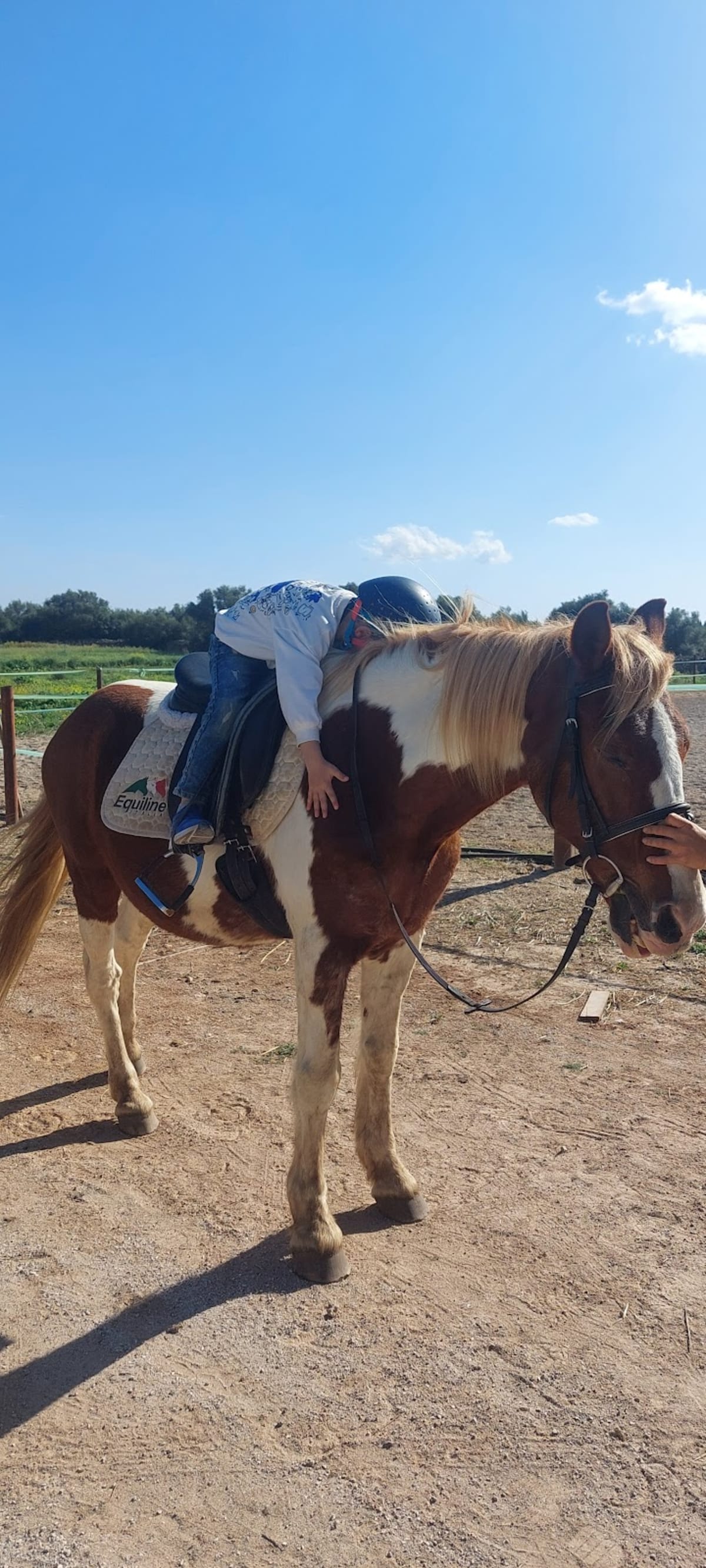 Rancho Toni - Hipica em Illes Balears