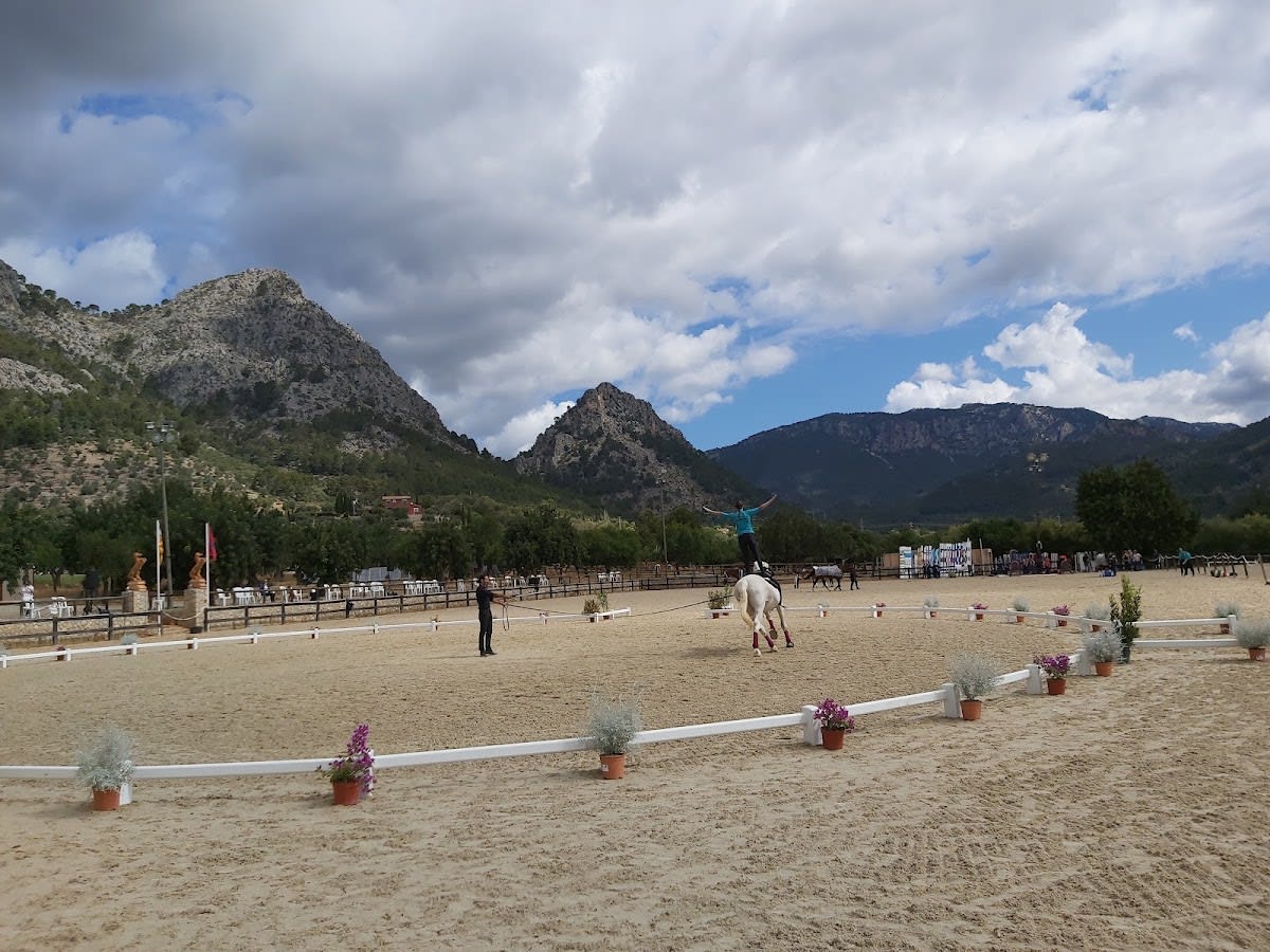 Club Hípico La Gubía - Hipica in Bunyola