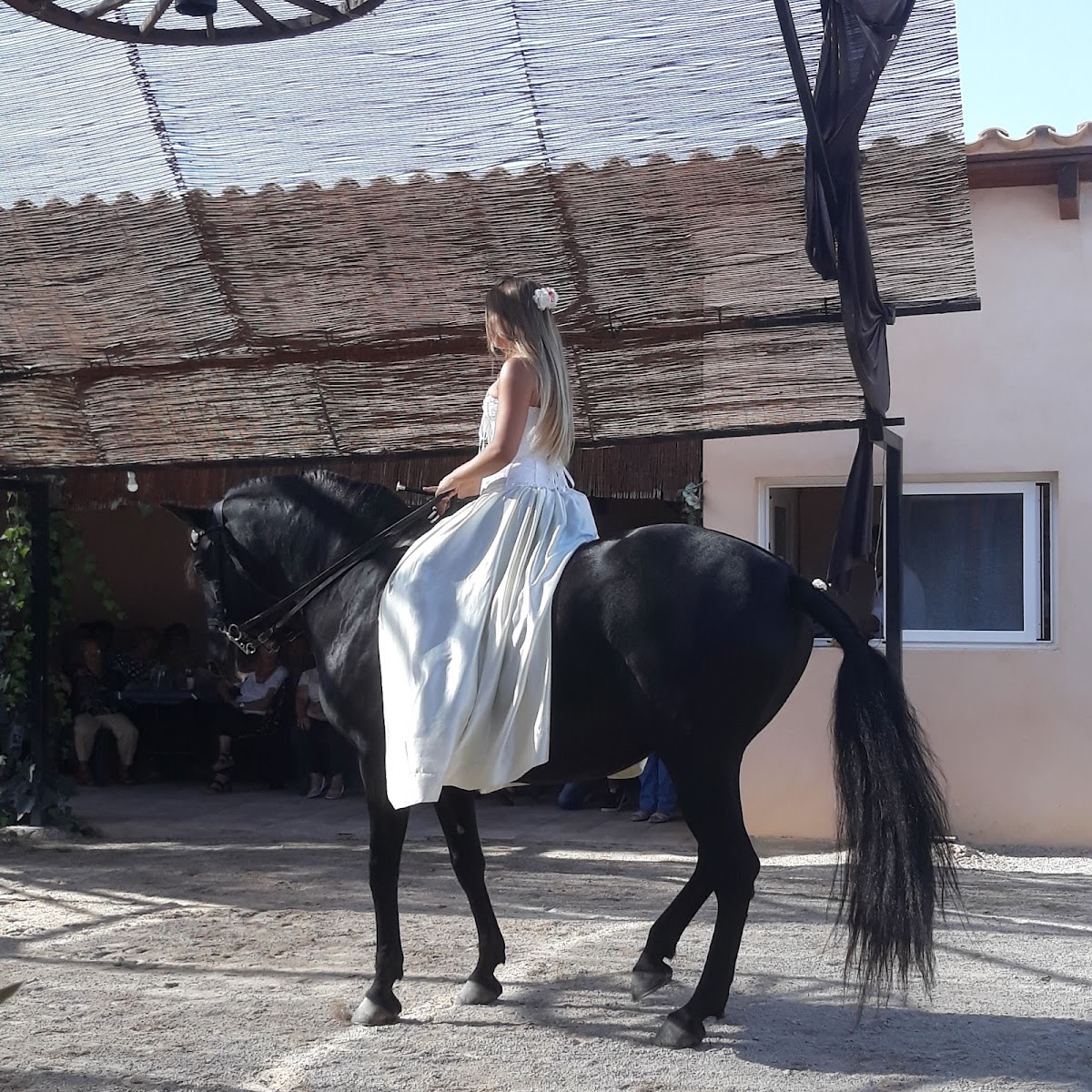 Equiart Mallorca - Hipica in Sineu