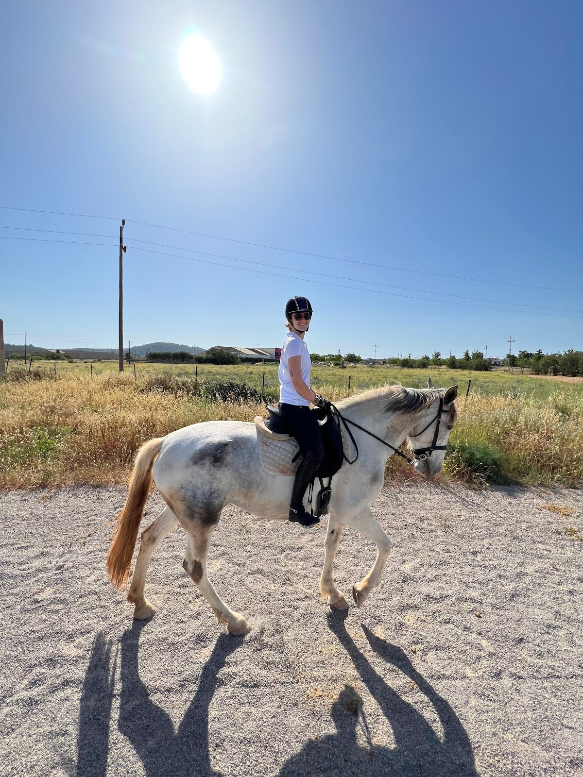 MQ Dressage - Hipica in Manacor