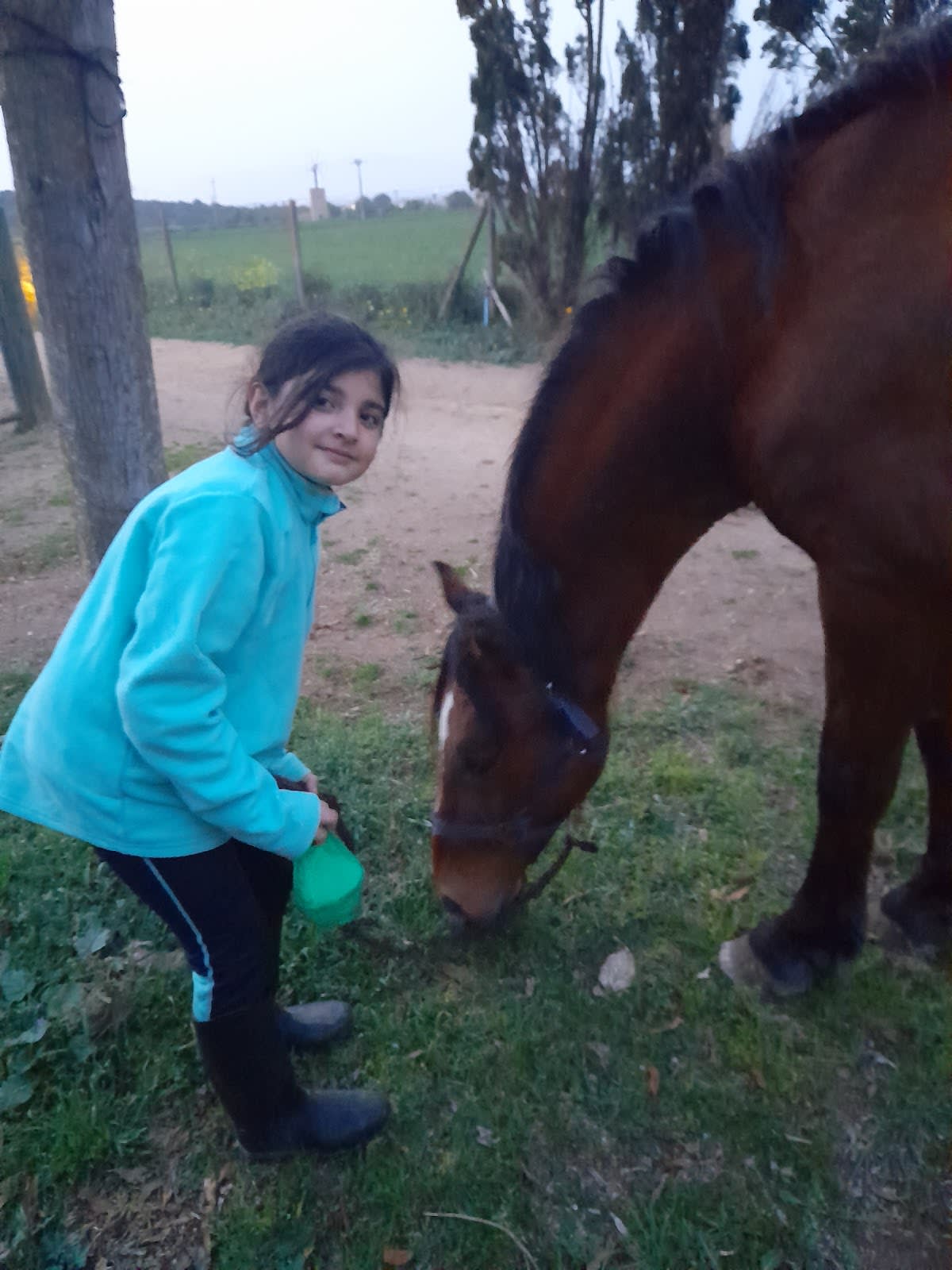 Hípica La Paz - Hipica in Palma