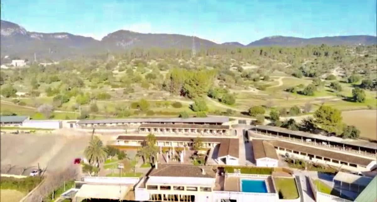 centro Escuela Equitación Son Gual SL - Hipica in Palma