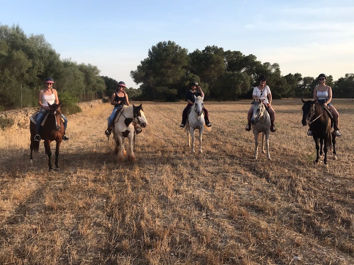 Color Horse Ranch Mallorca - Hipica em Santa Eugènia