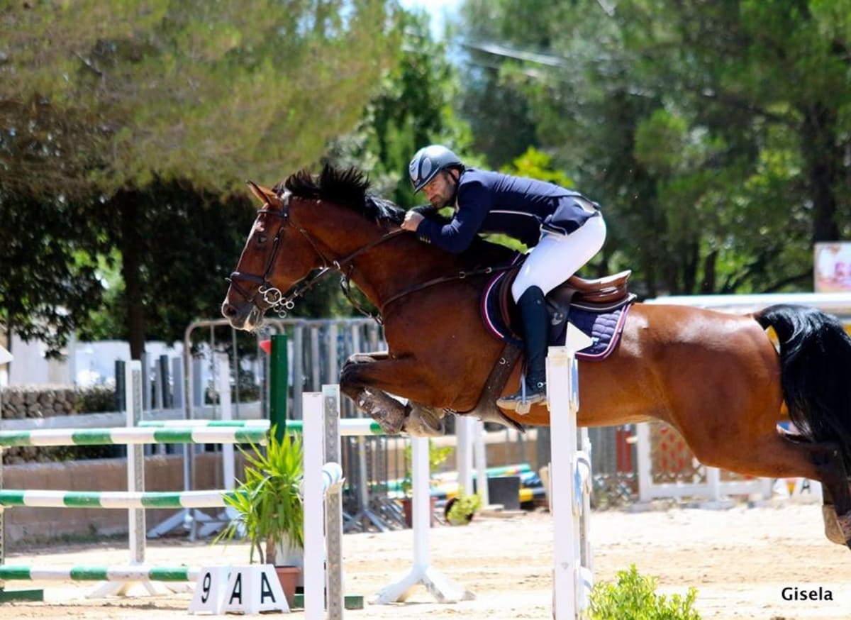 Hípica Palma Son Magraner - Hipica in Palma