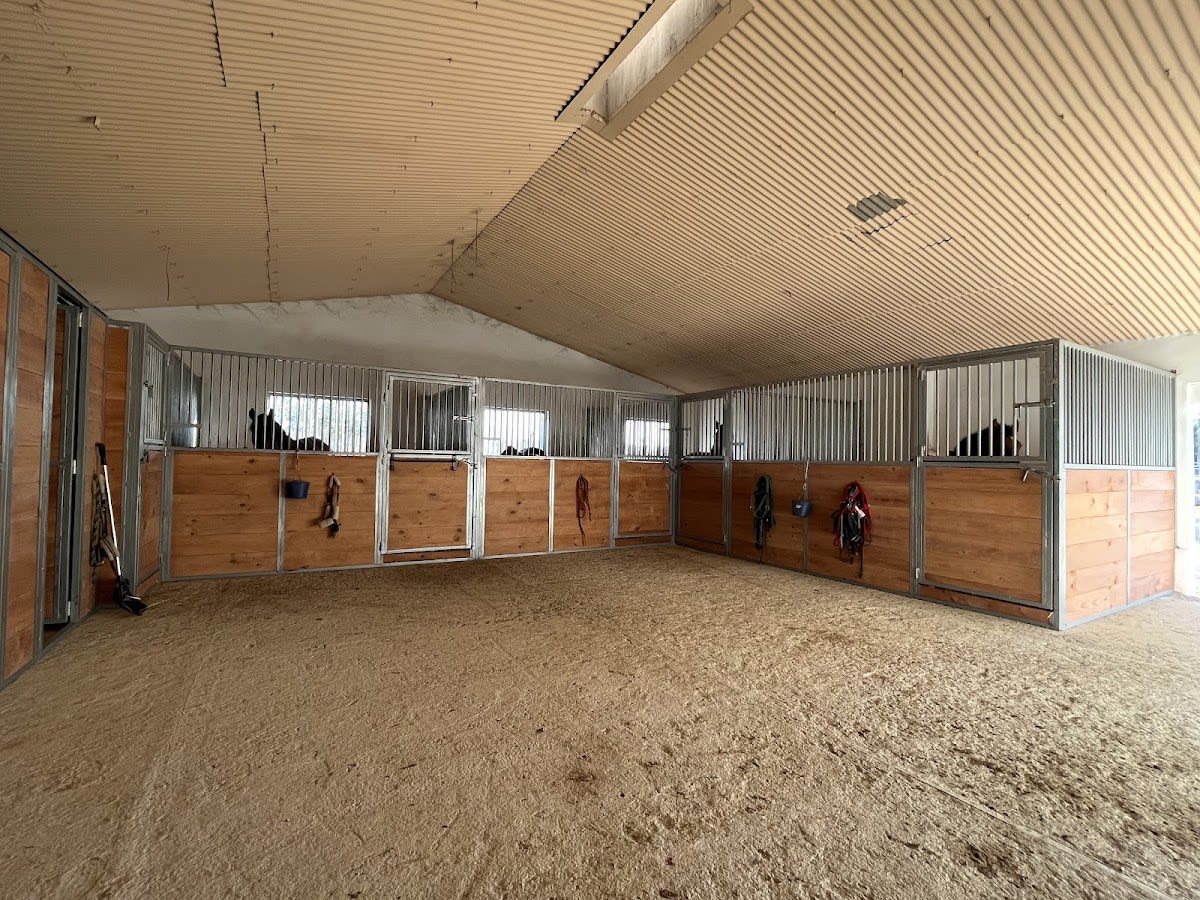 Cuadras Son Buc - Hipica in Marratxí