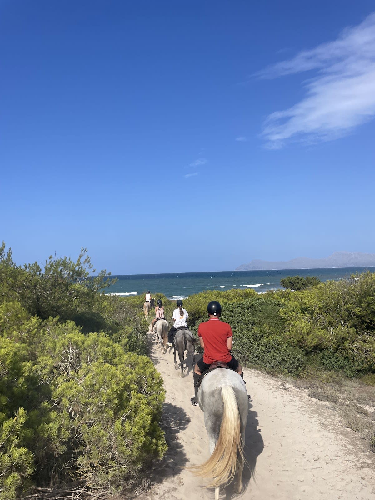 Rancho Ca'n Picafort - Hipica em Can Picafort