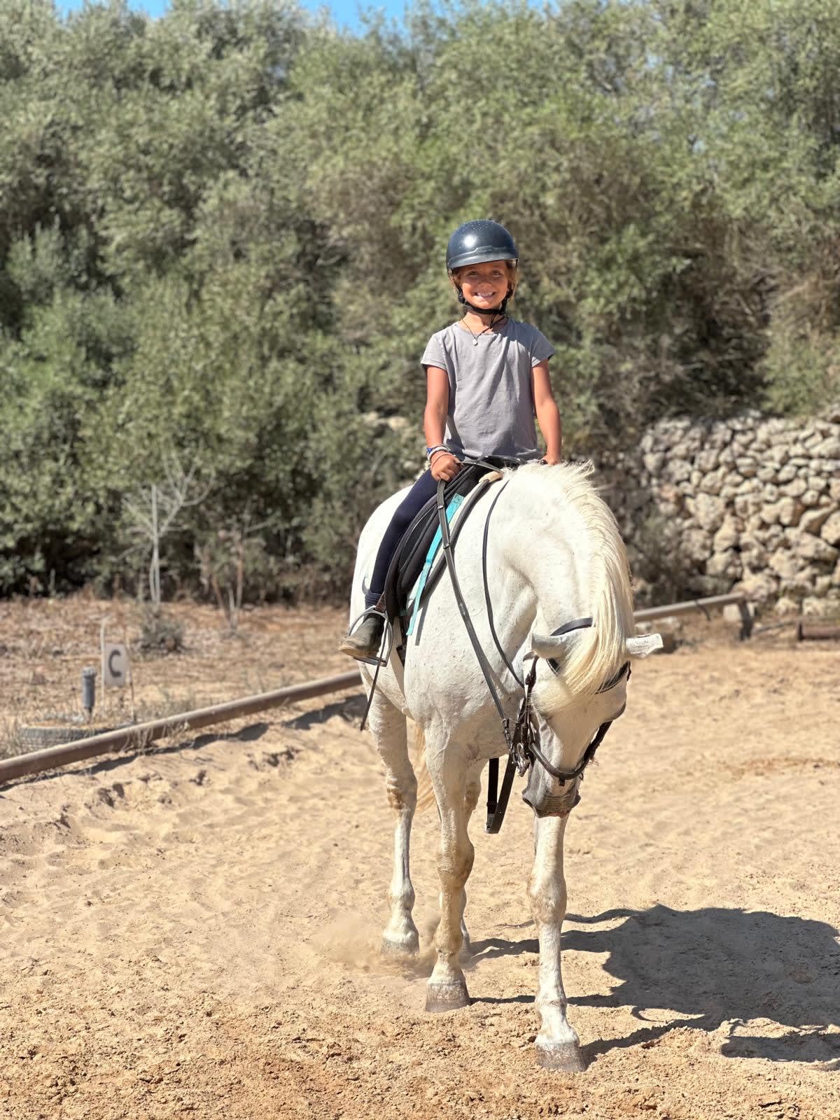 Ses Planes Toni Bosch Equitación - Hípica - Hipica in Es Castell