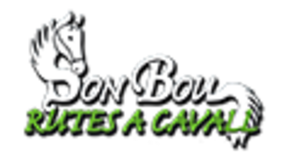 Son Bou Rutas a Caballo - Menorca - Hipica in Playa de Son Bou