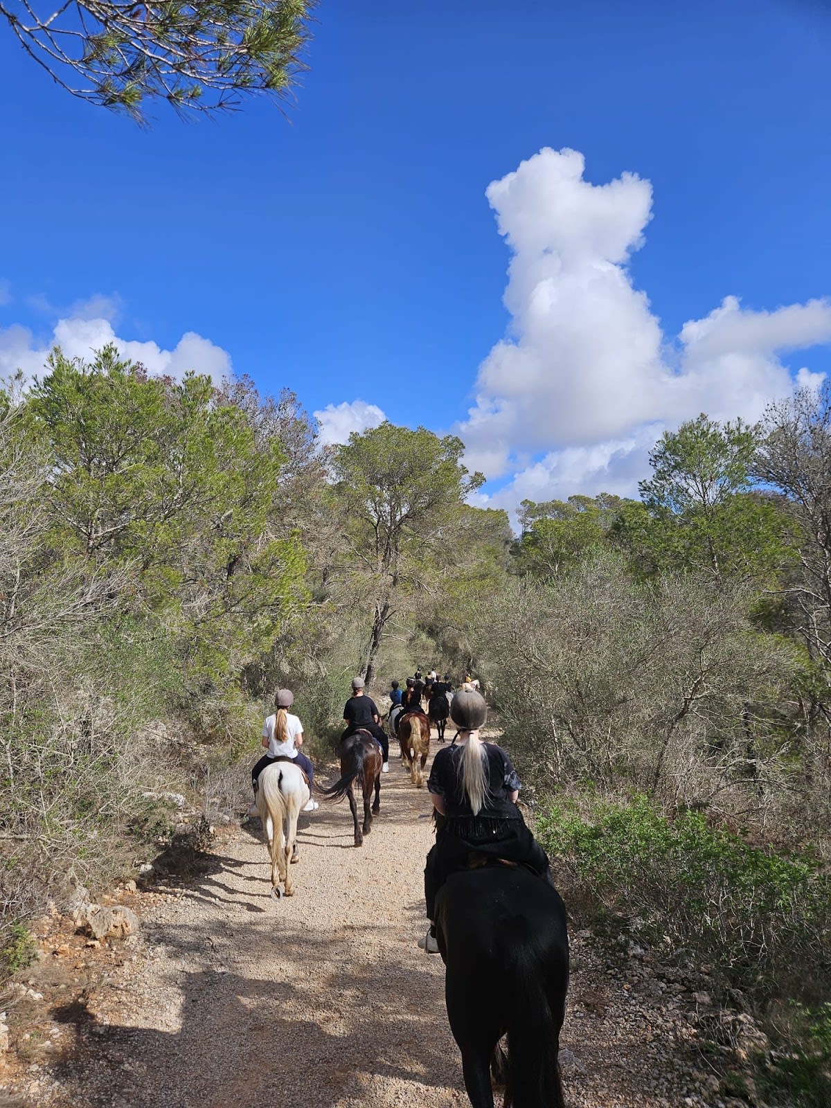 Rancho Jaume - Hipica in Illes Balears