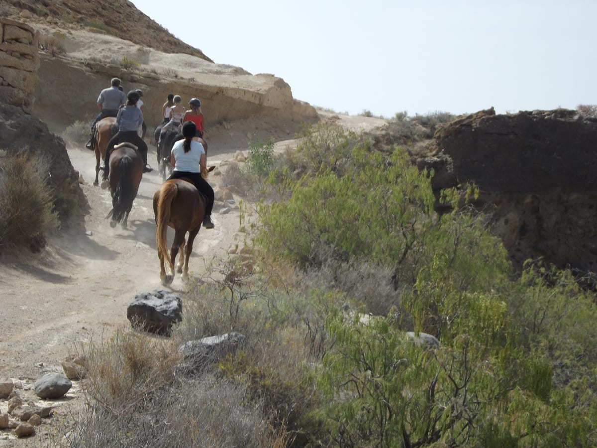 Rancho Bonanza - Hipica in Cala Rajada
