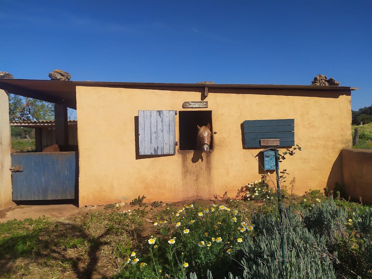 Rancho Cala Mandia - Equi Balance Mallorca - Hipica in Porto Cristo
