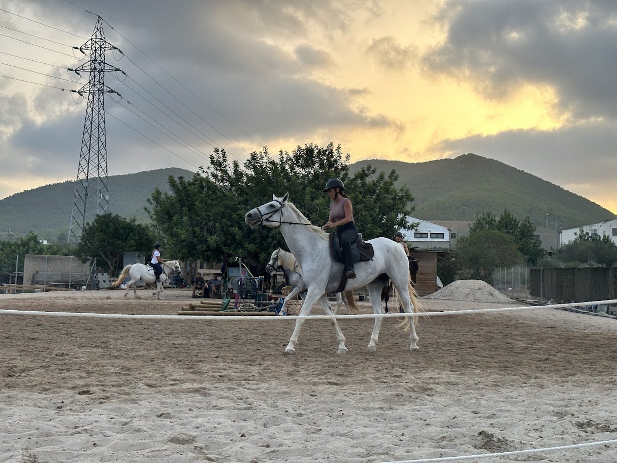 Ibiza Ohana Equestrian Club - Hipica in Eivissa