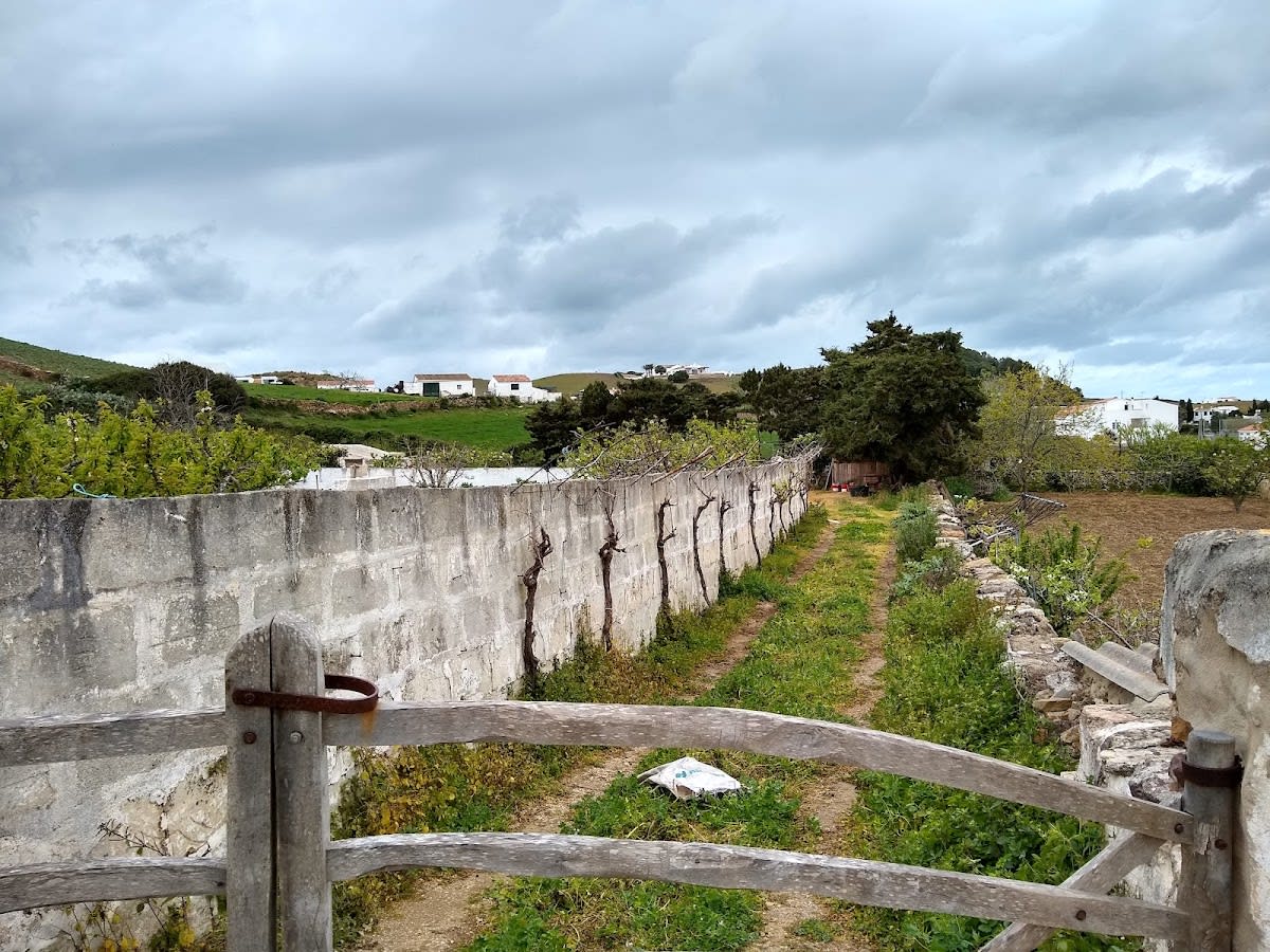 Club Hípic Ses Ramones - Hipica in Es Mercadal