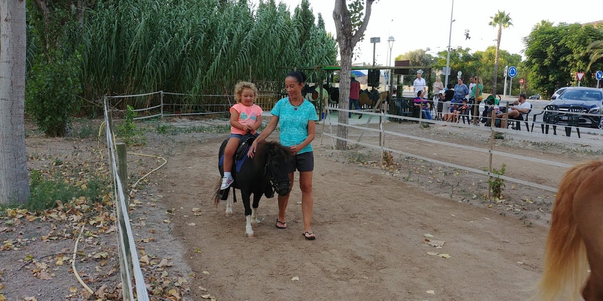 Poni Riding - Hipica in Can Picafort