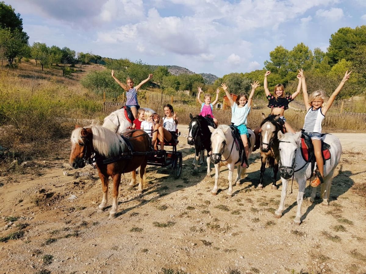 Pony Express Mallorca Pins - Hipica em Can Picafort