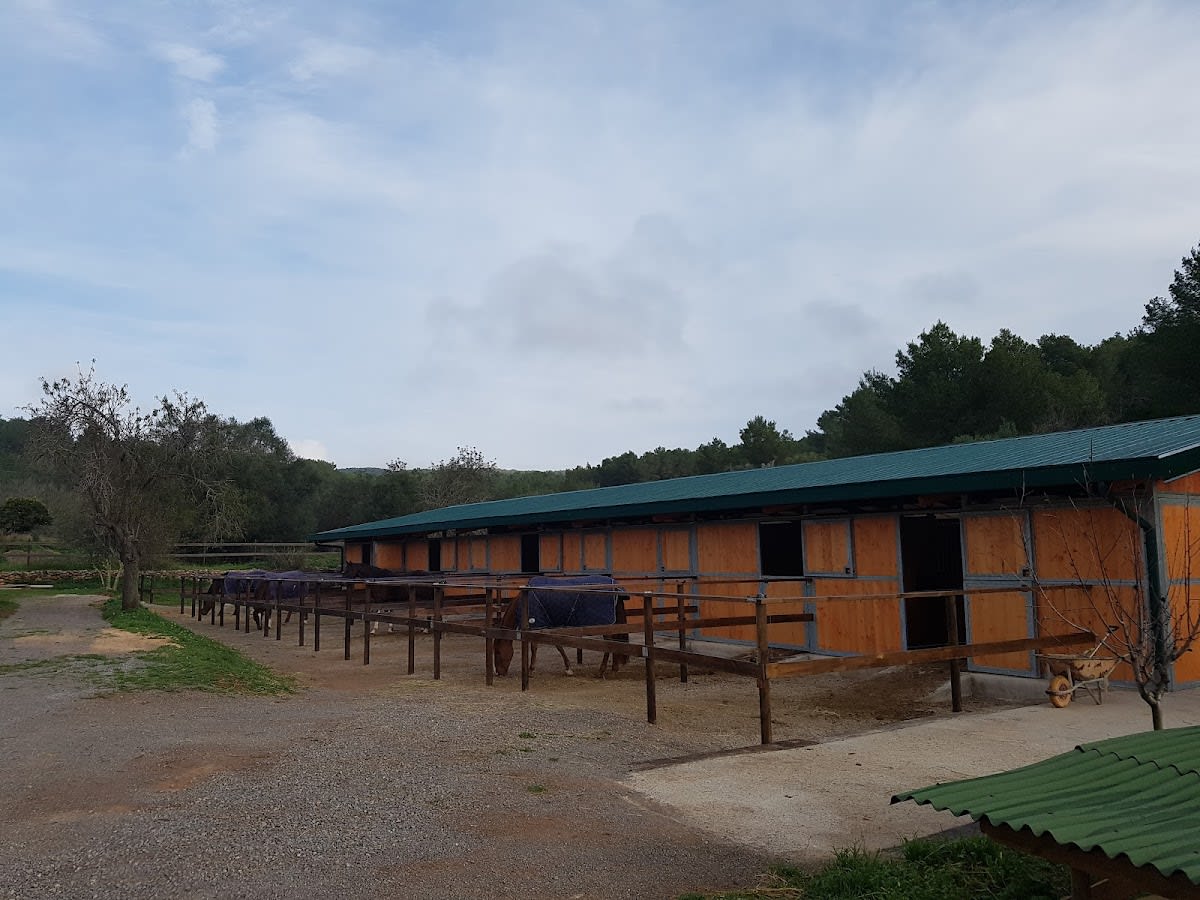 Ibiza Riding Excellence SL. - Hipica in Sant Antoni de Portmany