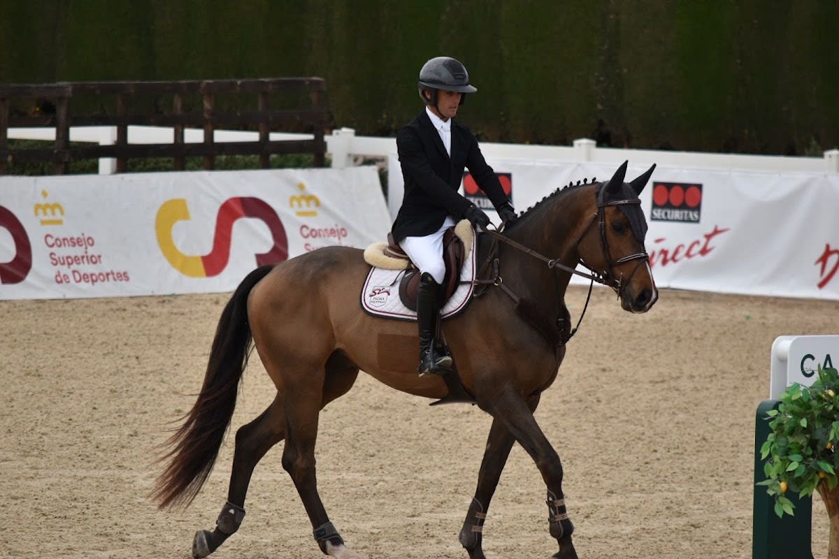 Palma Equestrian Sporthorses - Hipica en Palma