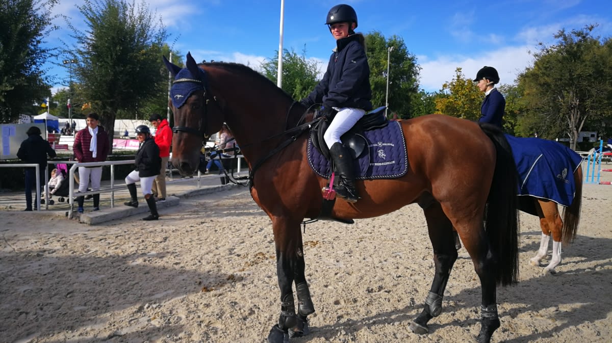 Sporthorses Mallorca - Yeguada MV Pollensa - Hipica in Pollensa - Mallorca