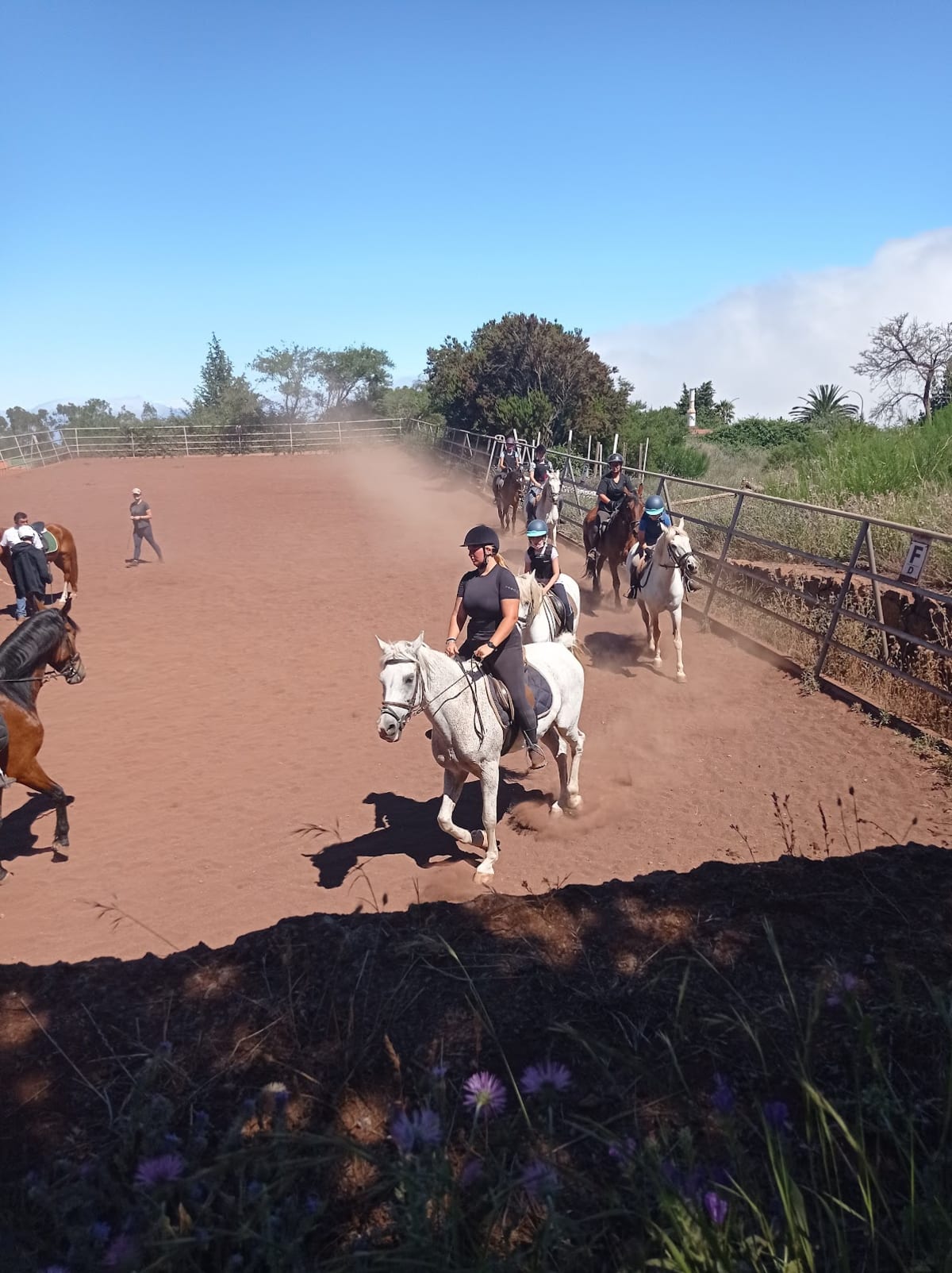 Centro Hípico DELNORTE - Hipica in Ravelo