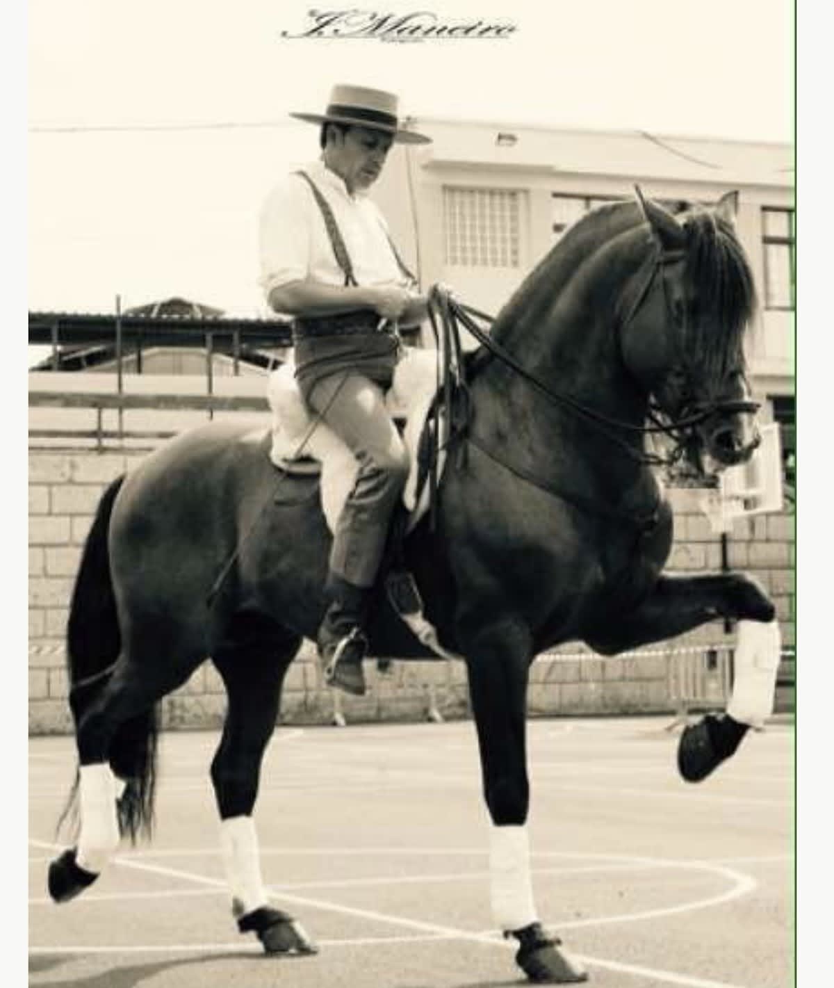 Hípica Cuadras El Médano ( Centro hípico, Horse riding, Reitausflüge) - Hipica en El Médano