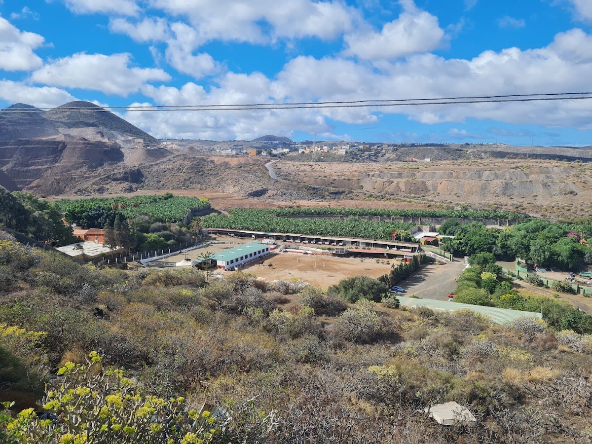 Centro Hípico Equus Gran Canaria - Hipica in Telde