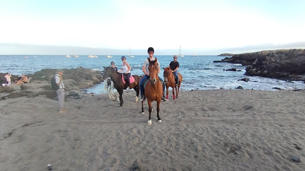 Horse Riding Finca La Bonita rescuehorses - Hipica in Arona