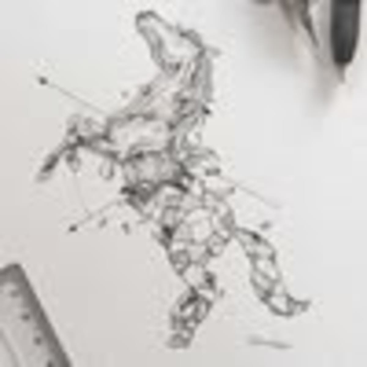 Finca Centro Hipico La Primavera - Hipica en Telde