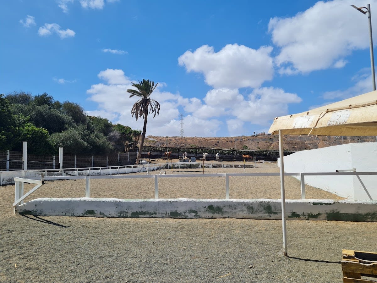 Club Hípico Los Jinetes - Hipica in Telde